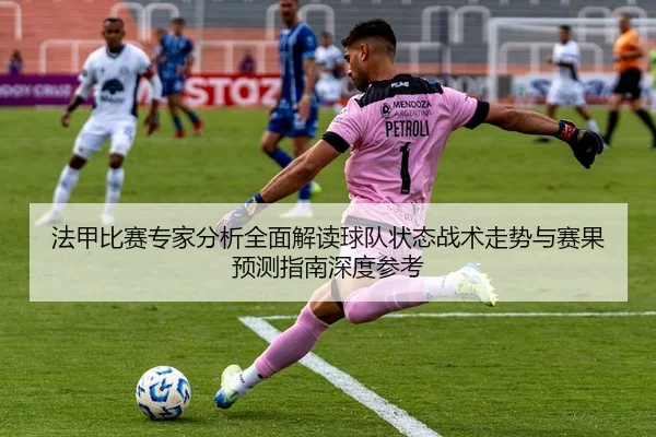 法甲比赛专家分析全面解读球队状态战术走势与赛果预测指南深度参考